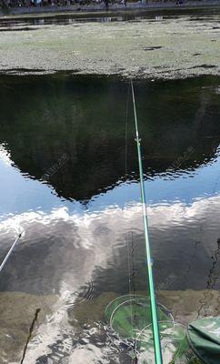河流钓鱼选位技巧有哪些？如何根据季节变化选择最佳钓位？  第3张