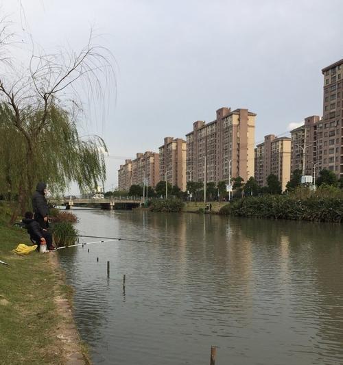 河流钓鱼有哪些方法和技巧？如何提高钓鱼成功率？  第3张
