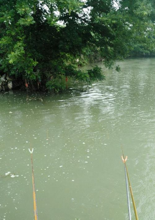 河流肥水钓鱼技巧是什么？如何提高钓鱼成功率？  第3张