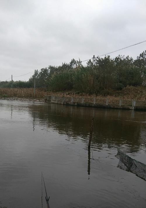 河流急流手竿钓鱼技巧有哪些？如何应对急流环境下的钓鱼挑战？  第3张