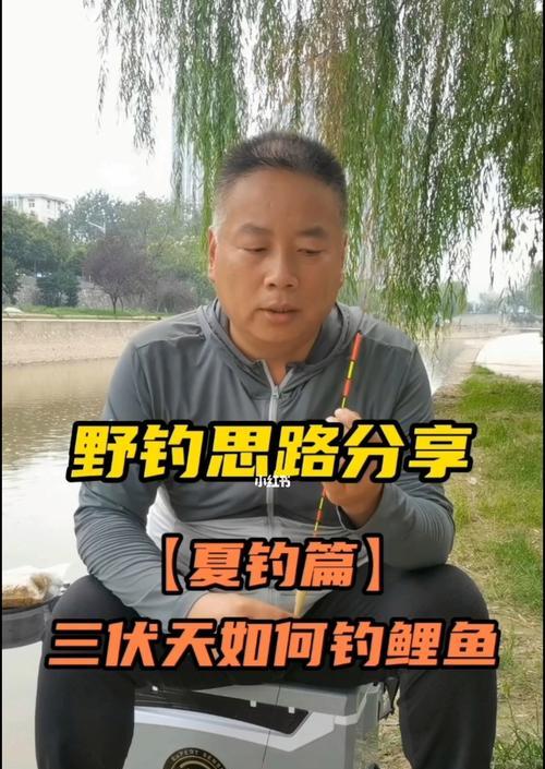 河流桥下钓鱼技巧有哪些？如何提高钓获率？  第1张