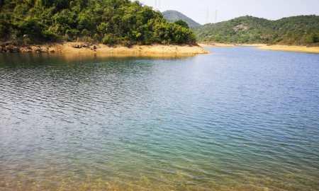 河流入水口钓鱼技巧和方法是什么？如何提高钓鱼成功率？  第2张