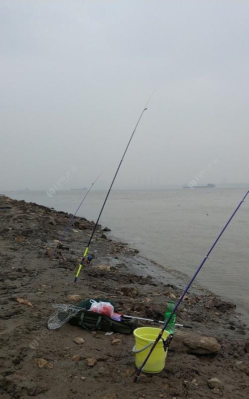 河流入水口钓鱼技巧是什么？如何提高钓鱼成功率？  第3张