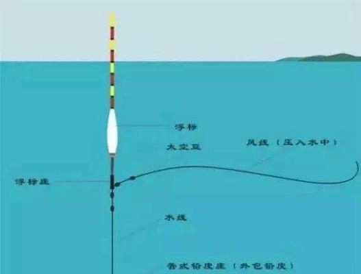 河流台钓调漂技巧教学？如何快速掌握台钓调漂？  第1张