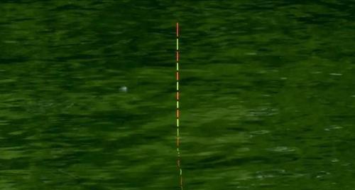 河流野钓调漂技巧？如何根据水流调整浮漂？  第3张