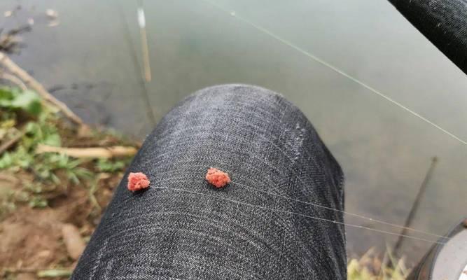 河流野钓鲤鱼调漂法技巧是什么？如何提高成功率？  第3张