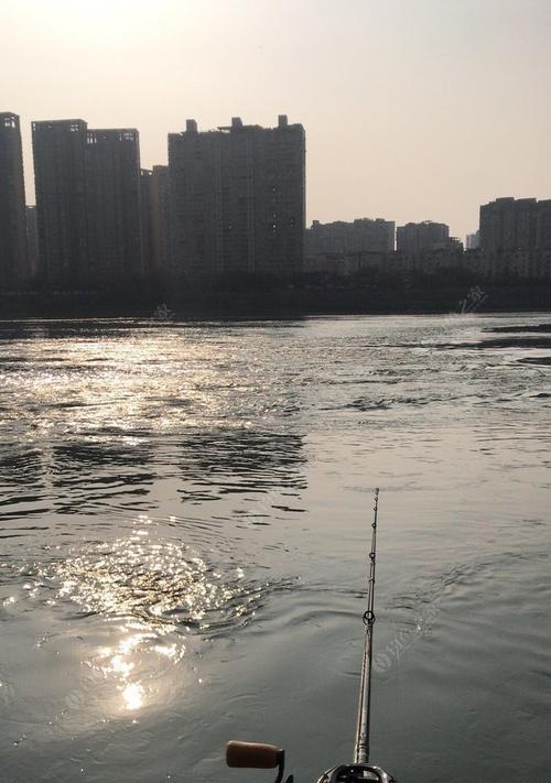 河流野钓如何选择最佳钓点？有哪些技巧可以提高钓鱼成功率？  第3张