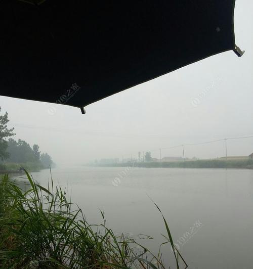 中午河流钓鱼最佳技巧是什么？如何提高钓获率？  第1张