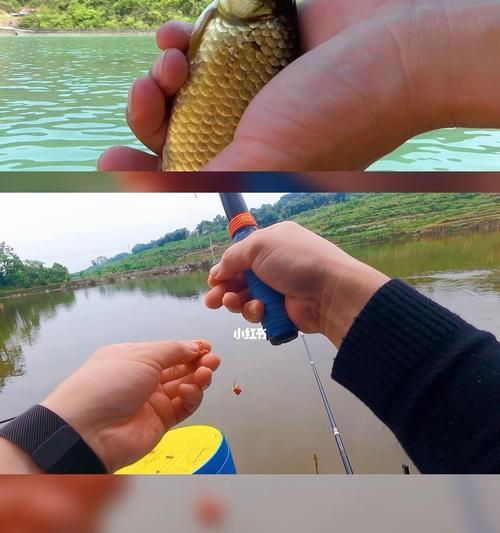 河南省初春钓鱼技巧有哪些？如何应对春季钓鱼的常见问题？  第3张