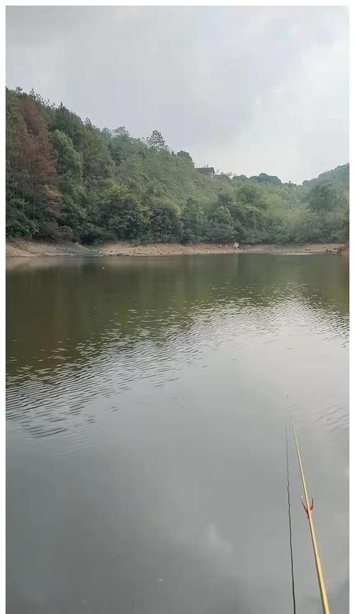 河南霜降钓鱼技巧有哪些？如何提高钓鱼成功率？  第1张