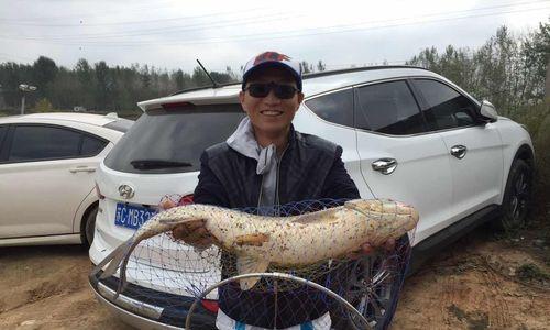 河南油田鱼塘钓鱼技巧有哪些？如何提高钓鱼成功率？  第3张