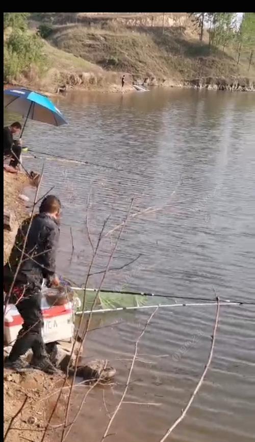 河南驻马店钓鱼的技巧是什么？如何提高钓鱼成功率？  第1张