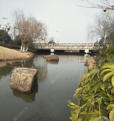 河内钓鱼什么地方技巧的区别？如何选择最佳钓鱼地点？  第2张