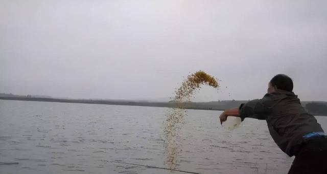 河水钓鱼打窝技巧是什么？如何有效提高钓鱼成功率？  第3张