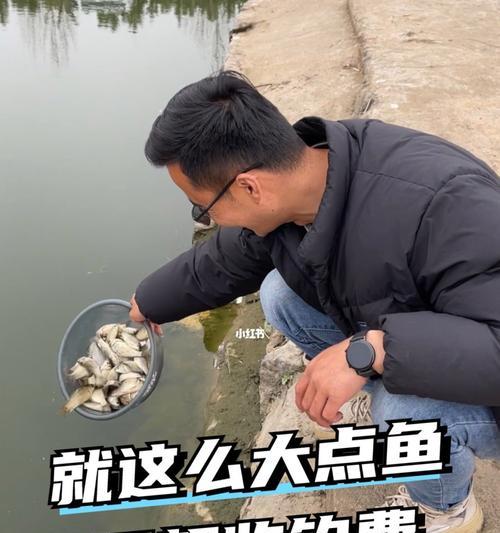河水钓鱼技巧简单吗？如何快速掌握？  第1张