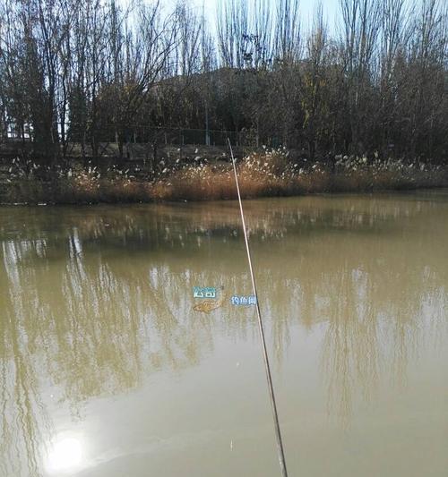 河水结冰钓鱼方法技巧是什么？如何在冰面上安全钓鱼？  第1张