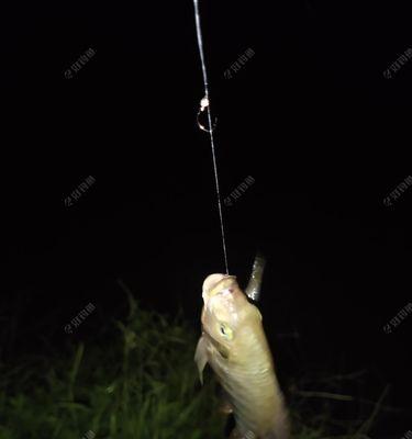 河水流动钓鱼时如何观察竿稍？有哪些技巧可以提高钓鱼效率？  第1张