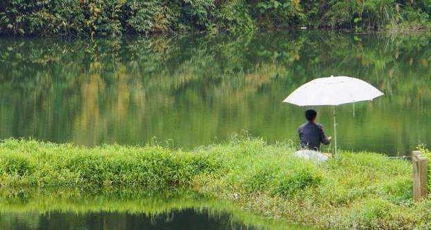 河水渠沟里钓鱼技巧是什么？如何提高钓鱼成功率？  第3张