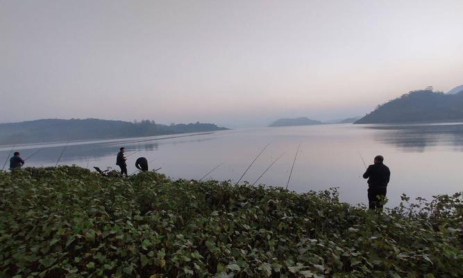 河水深水钓鱼技巧教程？如何提高深水钓鱼的成功率？  第2张