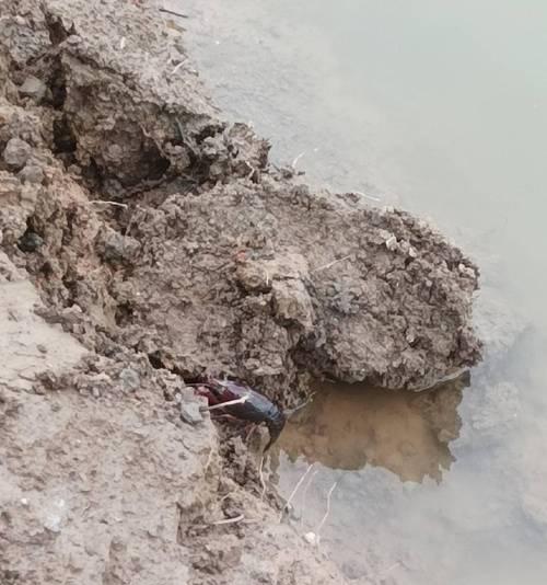 河水退水钓鱼技巧有哪些？如何提高退水时的钓鱼成功率？  第3张