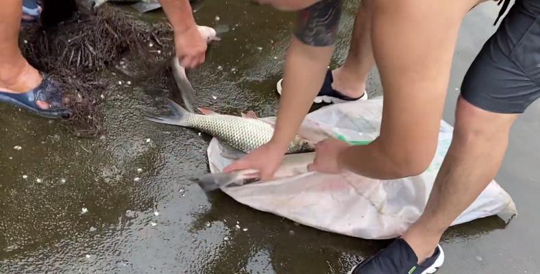 河水泄洪钓鱼方法和技巧是什么？如何在泄洪期间成功钓鱼？  第2张