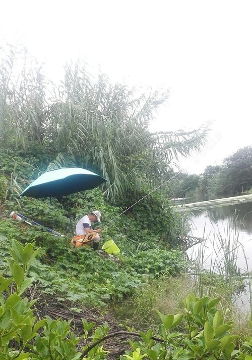 河水野钓蚯蚓钓鱼技巧有哪些？如何提高蚯蚓钓鱼的成功率？  第3张