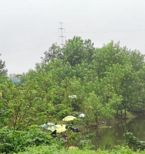 雨天河水钓鱼技巧有哪些？如何提高雨天钓鱼的成功率？  第3张