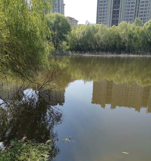 河湾钓鱼技巧最新有哪些？如何提高钓鱼成功率？  第3张