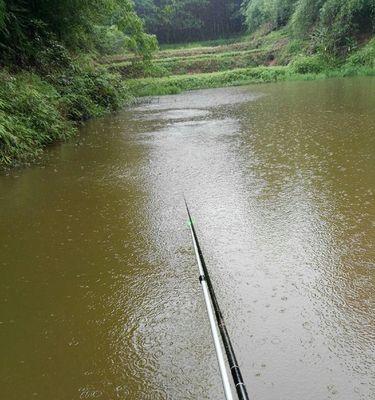 河溪流水钓草鱼技巧和方法是什么？如何提高钓草鱼的成功率？  第2张