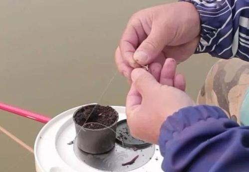 河虾蚯蚓钓鱼方法和技巧是什么？如何提高钓鱼成功率？  第2张