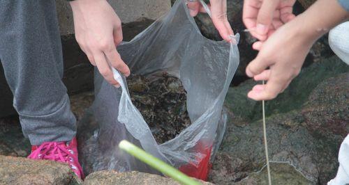 河蟹钓鱼技巧教程？如何提高河蟹钓鱼的成功率？  第1张