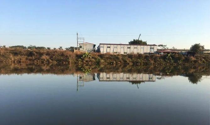 河涌口钓鱼技巧有哪些？如何提高钓鱼成功率？  第1张