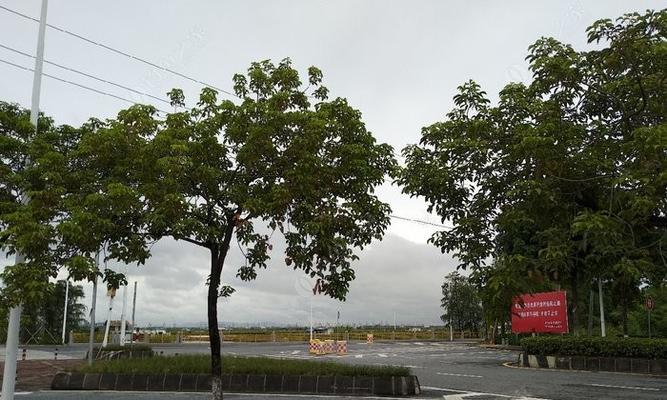 河涌闸口钓鱼技巧有哪些？如何提高钓鱼成功率？  第3张