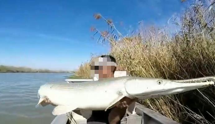 河中钓鱼小技巧有哪些？如何提高钓鱼成功率？  第3张