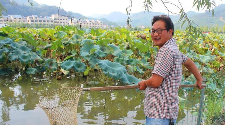 荷花池野钓大草鱼技巧有哪些？如何提高钓获率？  第2张
