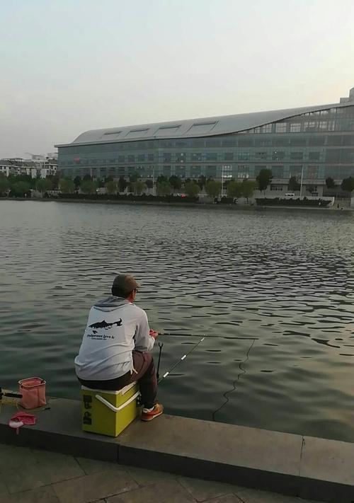 荷花塘夜钓技巧是什么？如何提高夜钓成功率？  第1张