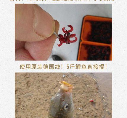荷塘七星漂钓鱼技巧是什么？如何提高钓鱼成功率？  第3张