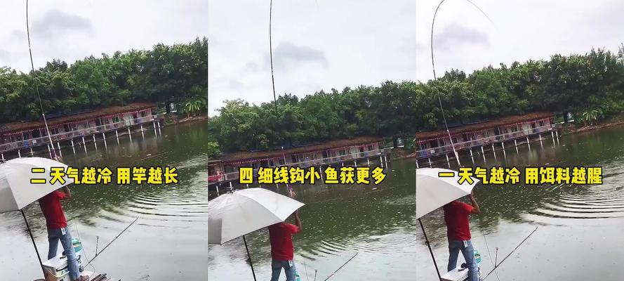 荷塘淤泥钓鱼技巧有哪些？如何提高钓鱼成功率？  第2张