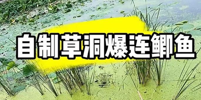 荷叶钓鱼技巧教学？如何利用荷叶提高钓鱼成功率？  第2张