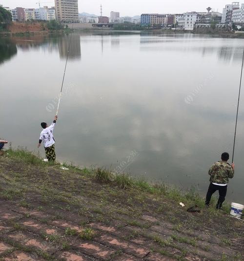 荷叶空隙钓鱼技巧是什么？如何提高钓鱼成功率？  第1张