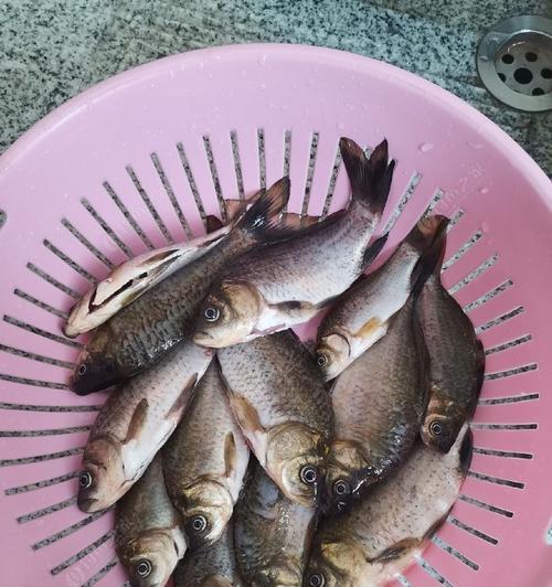 荷叶塘钓鱼技巧教程？如何提高钓鱼成功率？  第2张