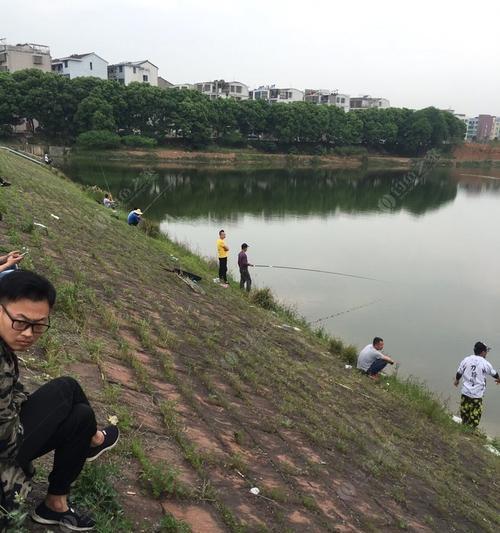 荷叶塘钓鱼绝密技巧是什么？如何提高钓鱼成功率？  第2张