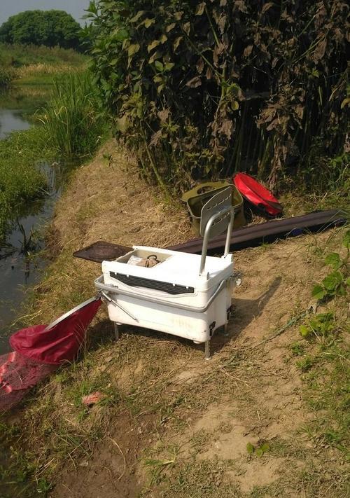 荷叶野钓大鲫鱼技巧有哪些？如何提高钓获率？  第3张