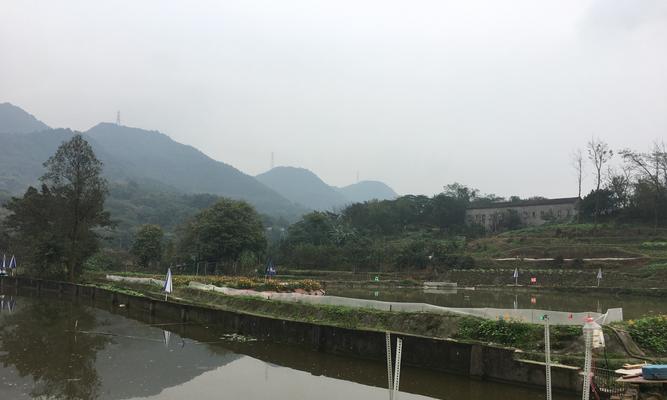 鹤壁冬季鱼塘钓鱼技巧有哪些？如何提高冬季钓鱼成功率？  第2张
