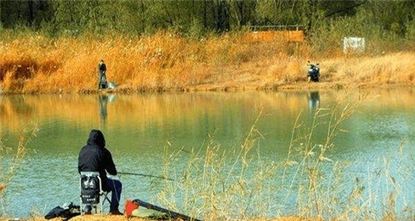 黑沟水库野钓鲤鱼技巧有哪些？如何提高钓鲤鱼的成功率？  第1张