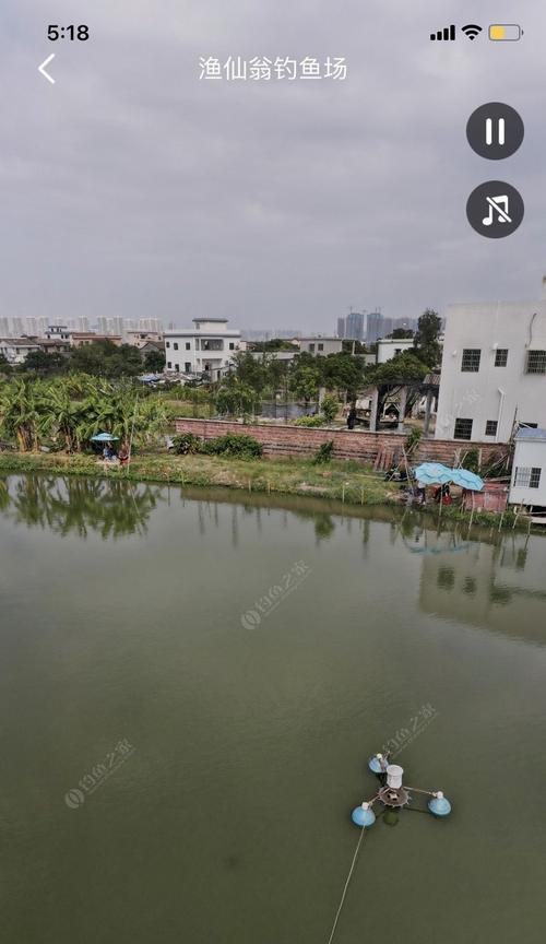 黑坑3米水深鲢鳙垂钓技巧有哪些？如何提高垂钓成功率？  第2张