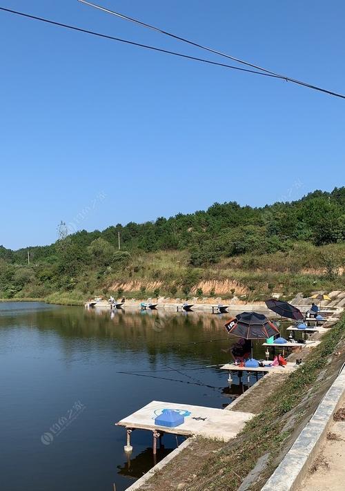 黑坑3米水深鲢鳙垂钓技巧有哪些？如何提高垂钓成功率？  第3张