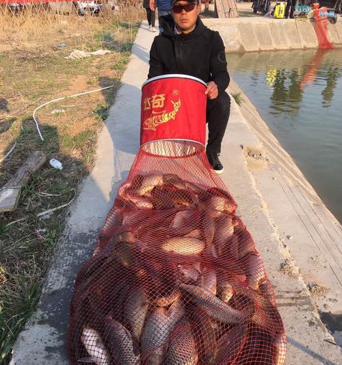黑坑垂钓爆护技巧是什么？如何在黑坑中实现爆护？  第2张