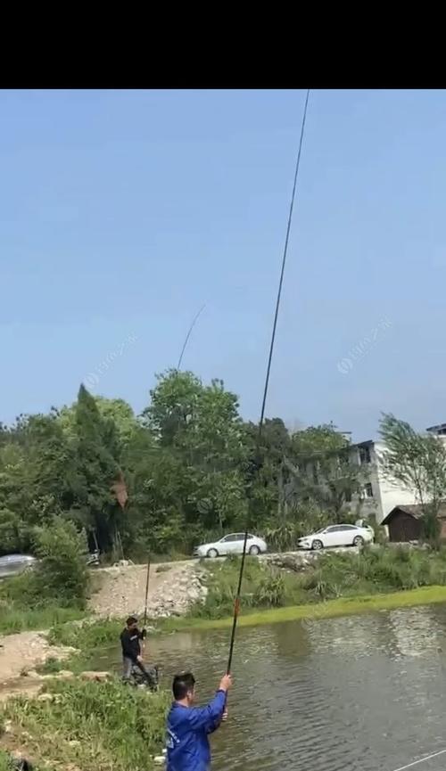 黑坑垂钓草鱼的正确方法是什么？有哪些技巧可以提高成功率？  第2张