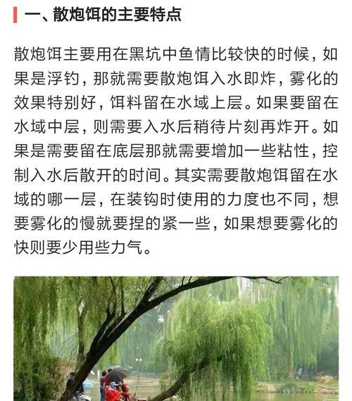 黑坑垂钓的七个技巧是什么？如何提高垂钓成功率？  第2张